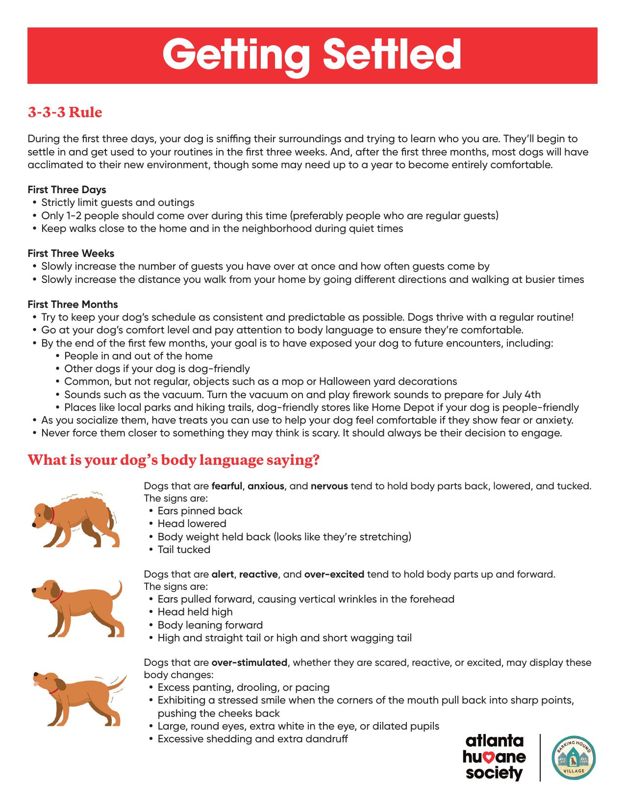 Help Your New Dog Settle In Worksheet (1).jpg